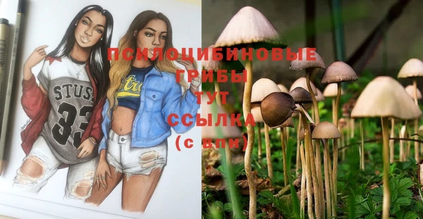 дмт Алексин