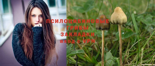 крисы Алексеевка