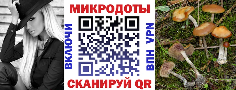 гидра зеркало  Новоалтайск  Галлюциногенные грибы Cubensis 